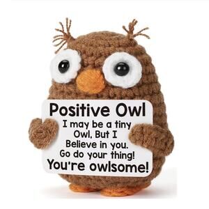 Handmade Motivational Crochet Owl Wise Desk Buddy New